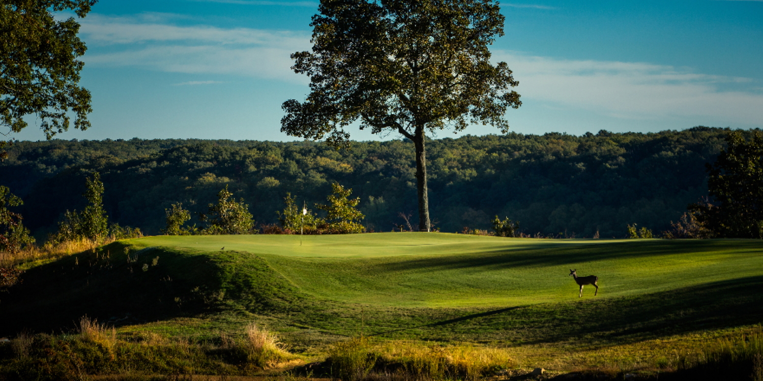 2022 Best Tennessee Golf Courses List